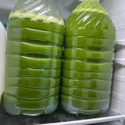 Refreshing fresh Green Juice