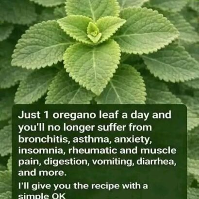oregano-leaf-herbal-tea