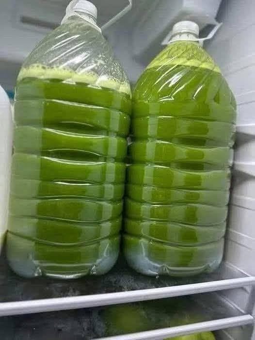 Homemade Fresh Green Juice
